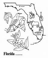 Coloring State Everglades Keys sketch template
