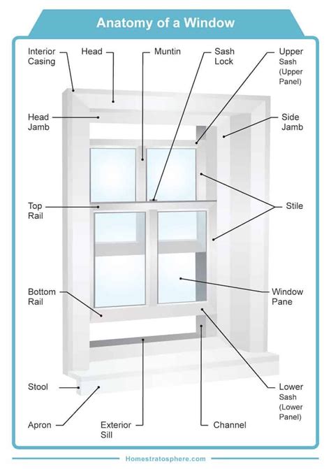 double hung window parts diagram png nicole