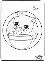 Raamhanger Katje Janela Finestra Decorazione Gattino Gatito Adorno Gatinho Nukleuren Knutselen Advertentie Kreativitet sketch template