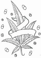 Coloring Leaf Pages Pot Marijuana Weed Drawing Cannabis Stoner Tattoo Plant Drawings Adult Sketch Sheets Printable Funny Outline Designs Trippy sketch template