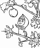 Masha Bear Coloring Pages Apple Want Drawing Biggest Pick Color Drawings sketch template