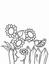 Sonnenblumen Ausmalbilder Zaun Blumen Kostenlose Ausmalen Sonnenblume Farbe Colouring sketch template