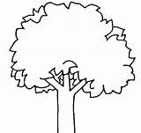 Clipart Tree Outline Clip Use Clipartbest Resource sketch template