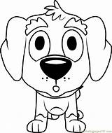 Pound Coloring Puppies Corky Pages Coloringpages101 sketch template