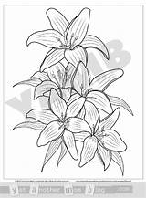Lilies  Cut sketch template