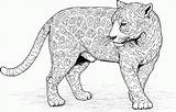 Jaguar Coloring Pages Big Cat Cats Leopard Colouring Animal Print Color Printable Caracal Gif Kids Wild Ausmalbild Detailed Adult Jaguars sketch template