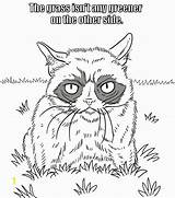 Grumpy Colorir Desenhos Dover Gato Gatos sketch template