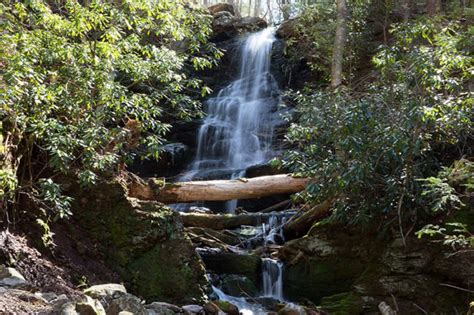 This Easy Hike Takes You Past New Jersey's Most Beautiful