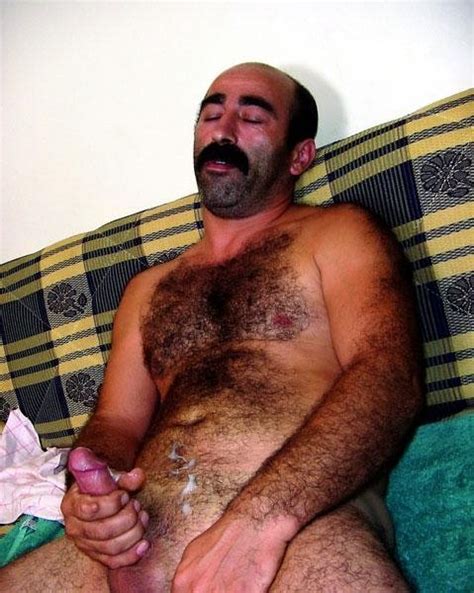 daddy bear in turkish baths