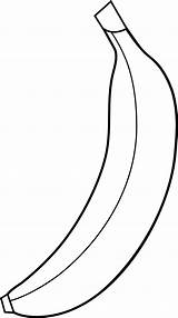 Banana Outline Clipart Cliparts Clip Library sketch template