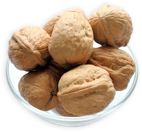 buy walnuts  shell    prices nuts  bulk