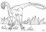 Jurassic Dilophosaurus Coloring Colorear Dinosaur Dilofossauro Ausmalbild Dinosaurs Ausmalen Disegni Colorare Dinosaurios Kostenlos Dinossauros sketch template