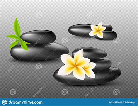 black shiny spa massage stones  plumeria flowers  green leaves