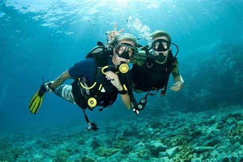 discover scuba diving  dubai diving trip  pickup  drop  jtr holidays