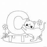 Letter Alphabet Printable Cat Coloring Pages Kids Animal Print Worksheets sketch template