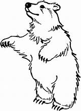 Bear Standing Coloring Pages Two Circus Feet Color sketch template