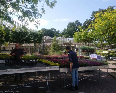 tuincentrum de driesprong deskundige plantenspecialisten