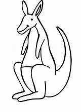 Kangaroo Coloring Printable Outline Clipart Cliparts Bestcoloringpagesforkids Library Choose Popular Colouring sketch template