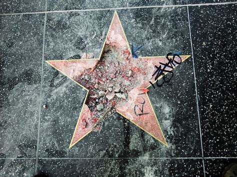 west hollywood council votes  remove trumps walk  fame star business insider