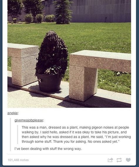 the 58 best tumblr posts of all time