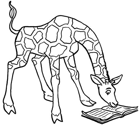20 Desenhos De Girafas Para Colorir E Imprimir Online Cursos Gratuitos