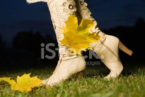 female boots stock photo royalty  freeimages
