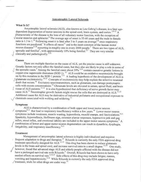 reflection paper   interview interview reflection
