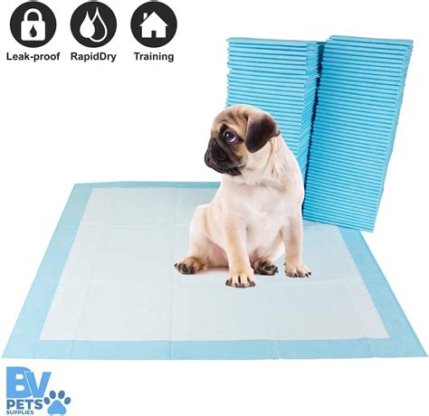 clean dog poop carpet   home