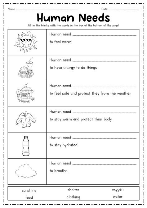 worksheets basic human     worksheetocom