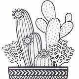 Cactus Para Colorear Cacti Foster Jane Coloring Screen Pages Week Print Only Drawing Instagram Bordar Desert Embroidery Sunset Pintar Guardado sketch template