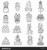 Drawing Line Doodle Cactus Coloring Doodles Succulents Plant Pages Botanical Shutterstock Drawings Clipart sketch template