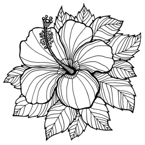 cute summer coloring pages hawaiian flowers lautigamu