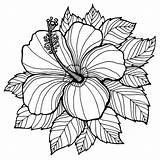 Flower Coloring Pages Summer Mandala Flowers Colouring Hibiscus Floral Hawaii Choose Board sketch template