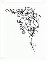 Coloring Pages Flowers Printable Color Popular Coloringhome Library Clipart sketch template