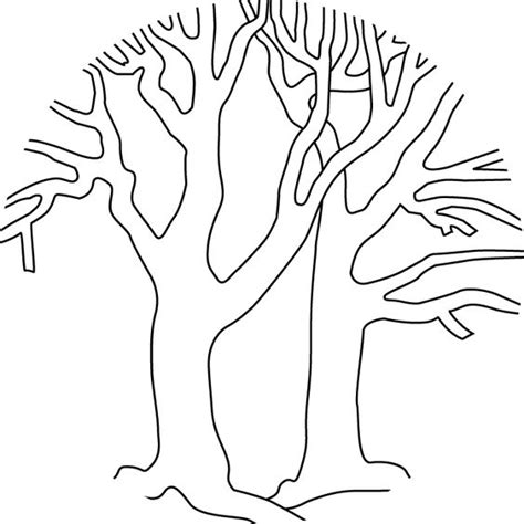 trees  winter coloring pages   coloring pages  pinterest