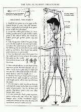 Loomis Cuerpo Anatomy Understanding sketch template