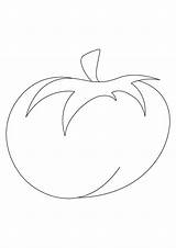Tomato Coloring Pages Vegetable Heirloom Parentune Books Worksheets sketch template
