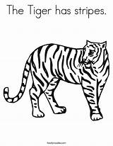 Tiger Coloring Worksheet Stripes Has Drawing Harimau Lsu Print Sheet Pages Tracing Outline Book Animals Gung Choy Hay Fat Twisty sketch template