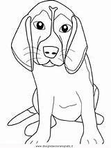 Beagle Animali sketch template
