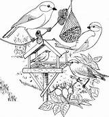 Kleurplaat Vogels Roodborstje Pimpelmees Voederplank Tekening Koolmees Voor Voeren Kleurplaten Natuur Scheiden Groenling Vogelhuisje Doodle Natuurkunde sketch template