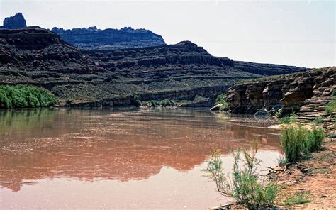 utahimgc colorado river  moabutah   flickr