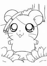 Coloring Hamtaro Hamster Pages Bonding Friendship Story Oxnard Kids sketch template