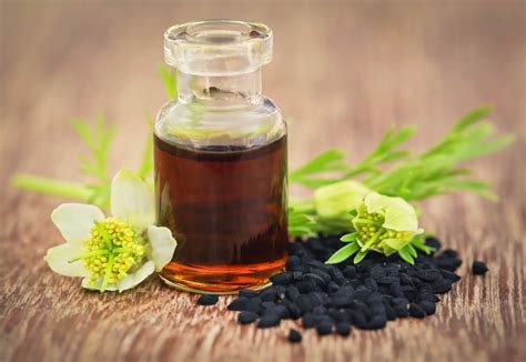 Black Seed Oil 350 Mg 120 Softgels Uses Benefits
