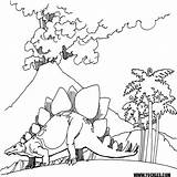 Coloring Spinosaurus Stegosaurus Popular sketch template