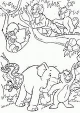Selva Maestra sketch template