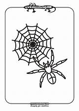Spider Halloween Coloring Easy Pages sketch template