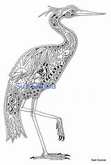 Coloring Heron Adult Zentangle Sue Coccia Internatonal Earth sketch template