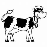 Cows Clipart Cartoon Cow Clip Animal Cute Line Coloring sketch template