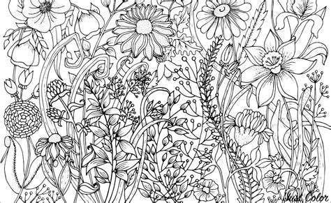 color pages  adults flowers flowers vegetation coloring pages