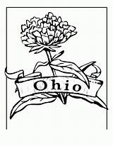 Ohio State Coloring Pages Buckeyes Buckeye Brutus Outline Popular Clipartmag Coloringhome sketch template